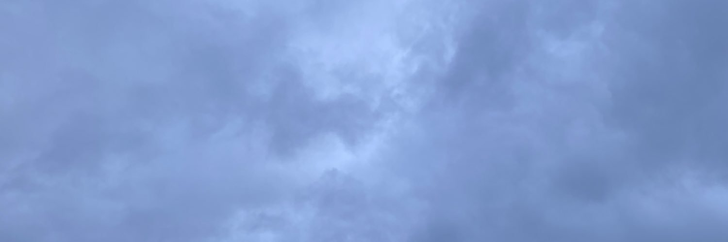 RL GRIME's banner