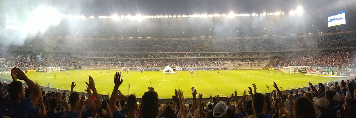 Flávinho 🦊's banner