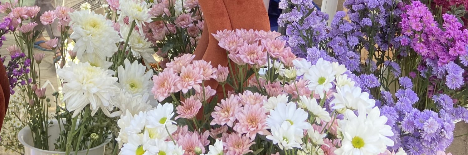 Lisa ✿⁠'s banner