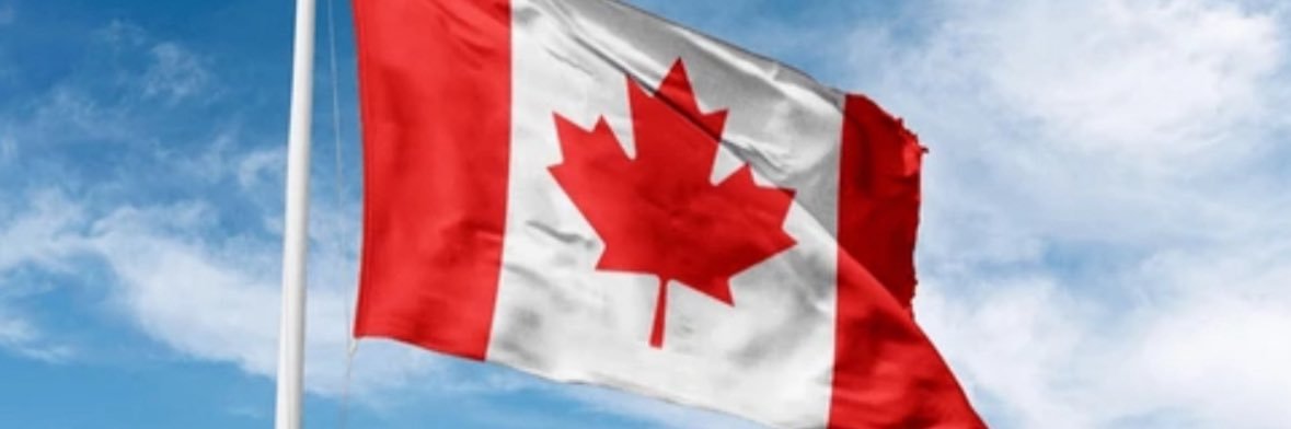 Laura Babcock 🇨🇦's banner