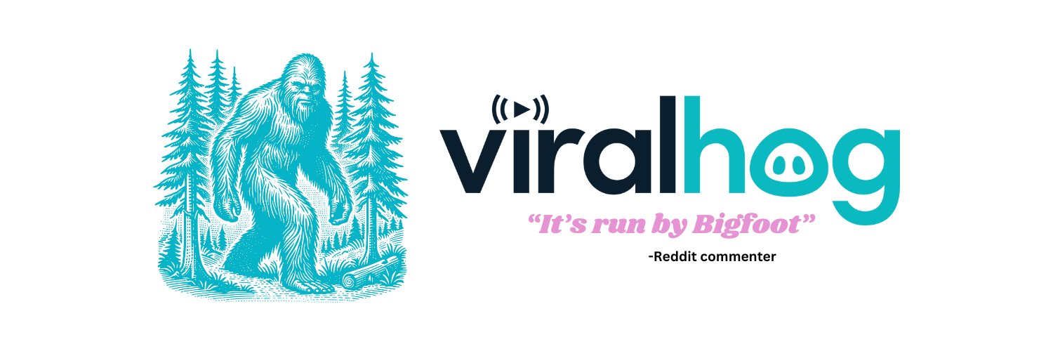 ViralHog's banner