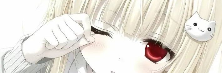 素素不吃素's banner