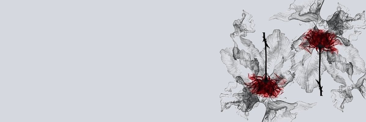 𐐪𐑂's banner