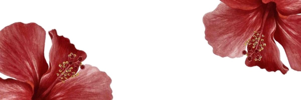 𐐪𐑂's banner