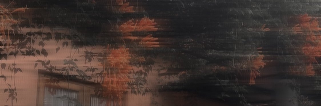 Honzerk's banner