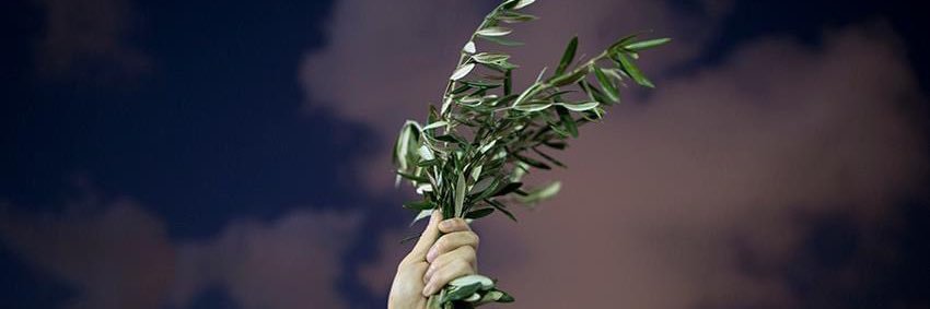 Paula Astih's banner