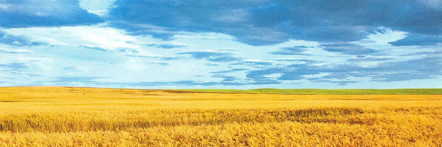 Ох🌷ітельна Мар'їнкa🌱's banner