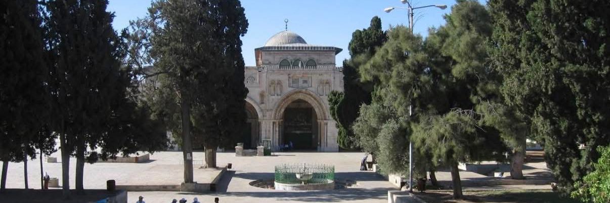 نائلة الوعري's banner