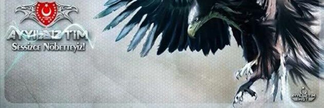 Seyhan SOYLU (Sisi)'s banner