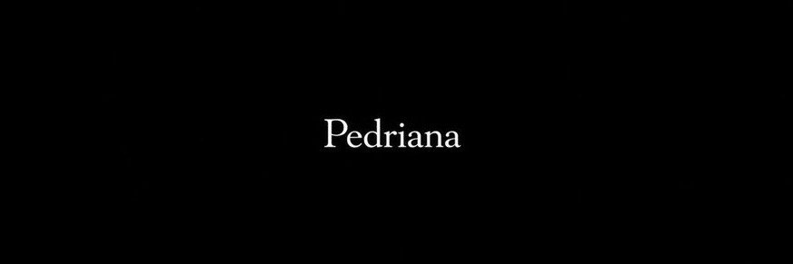 rafaela's banner