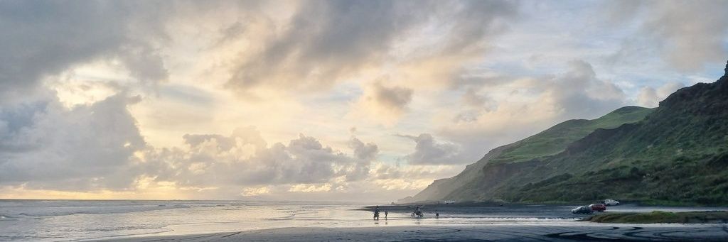 mikiko🇳🇿NZのトレーナー's banner