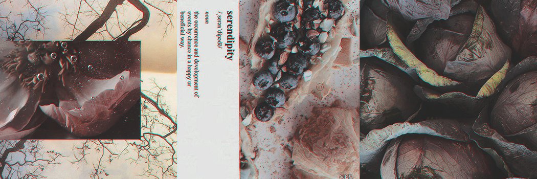 carina ✨'s banner