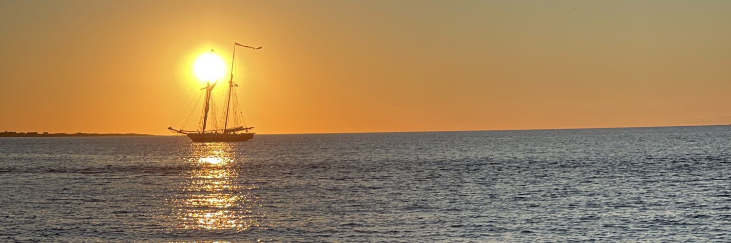 Donna Terrell Lambert's banner