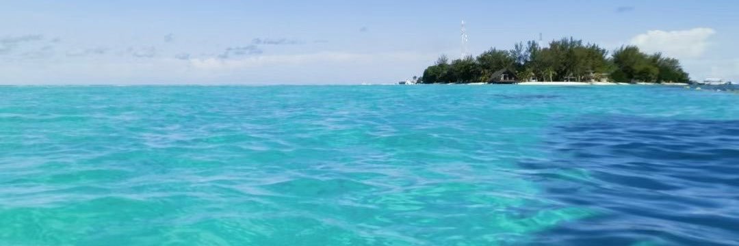 雾先生的足控日常's banner