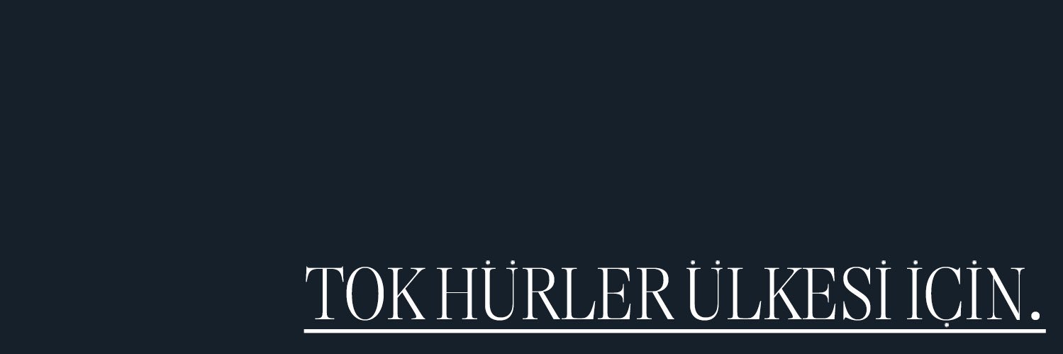 Barbaros Serdar's banner
