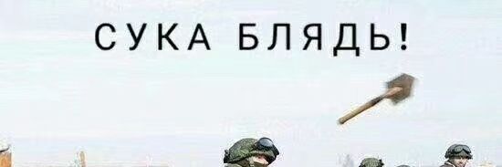 超级小蛋蛋's banner