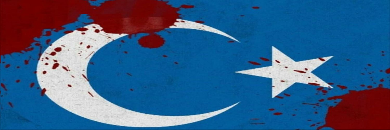 Uyghur-Boy (#StopUyghurGenocide)'s banner