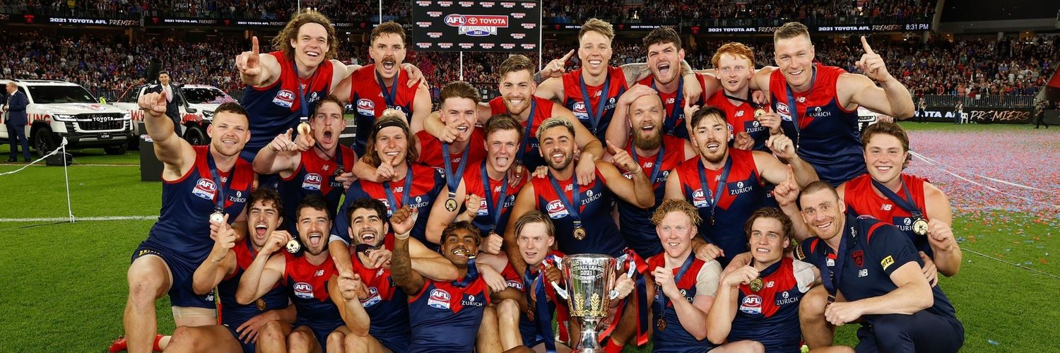 Melbourne Footy's banner