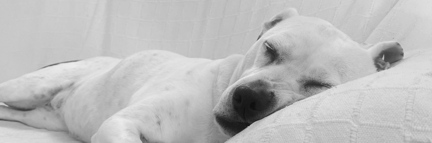 Adri Comon 🌻's banner