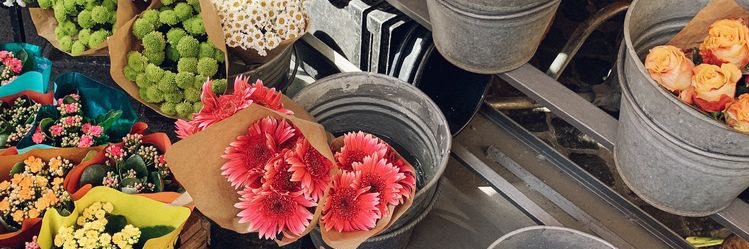 María Camila's banner