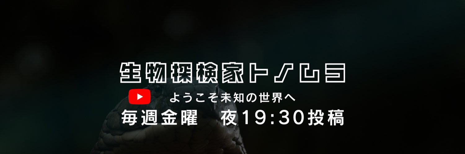 生物探検家トノムラ@昆虫大学11/21-22 出展's banner