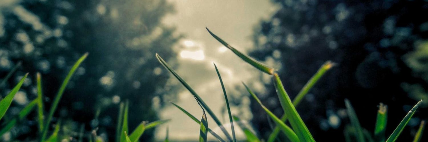 しみさん's banner