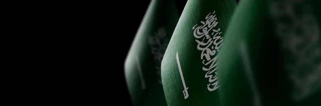 Reem Bin Saddik ريم عمر بن صديق's banner