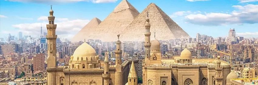 محمد ابوالشيخ's banner