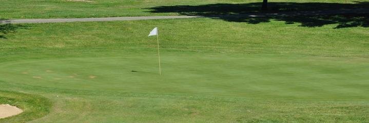 Louisville Metro Golf's banner