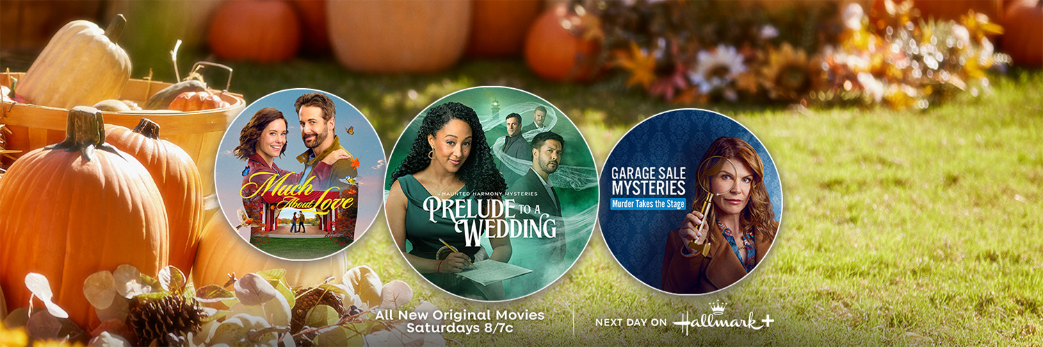 Hallmark Channel's banner