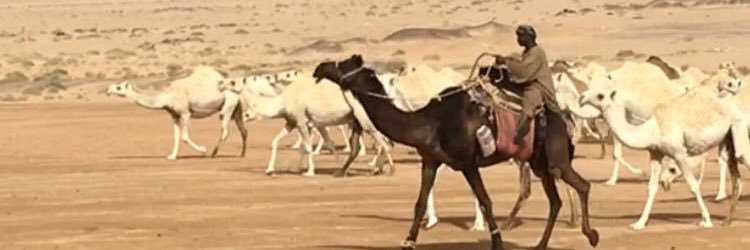 فهد بن عماش الطريسي's banner