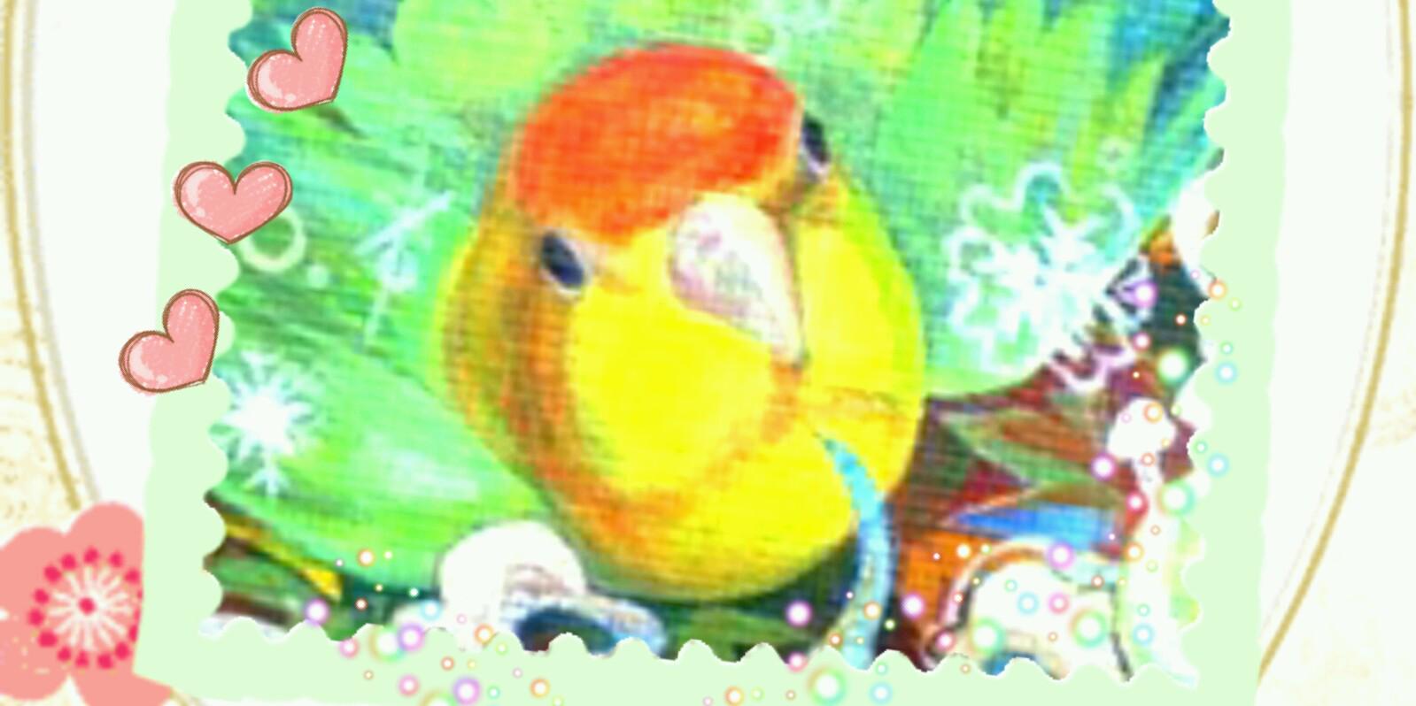 パメラちゃん's banner