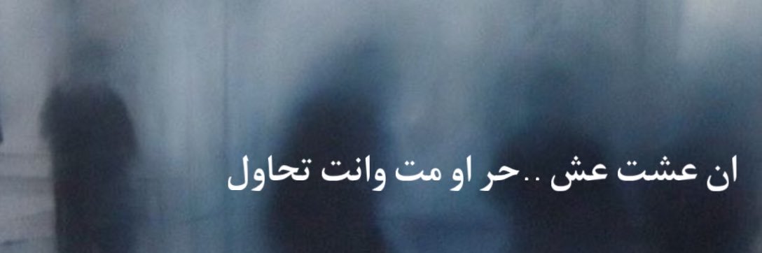 احمد الميموني's banner