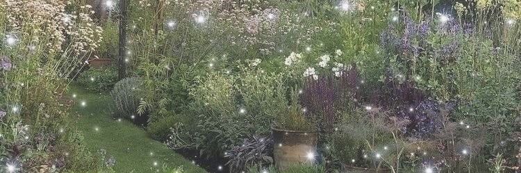laina loo *:･ﾟ✧*'s banner
