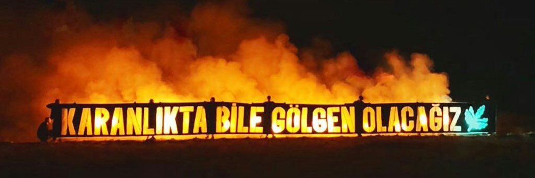 dilara's banner