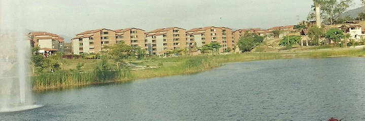 Nueva Casarapa's banner