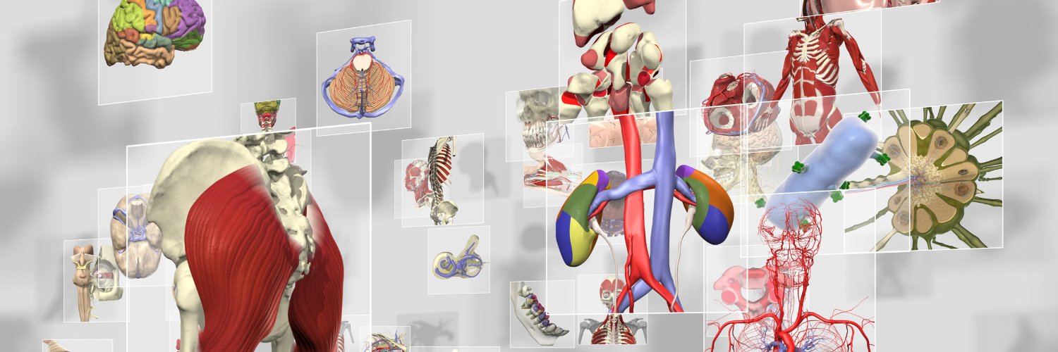 Primal Pictures 3D Human Anatomy & Physiology's banner