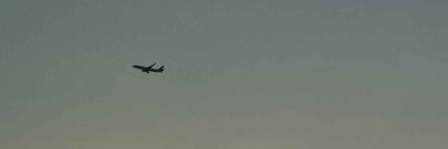 L's banner