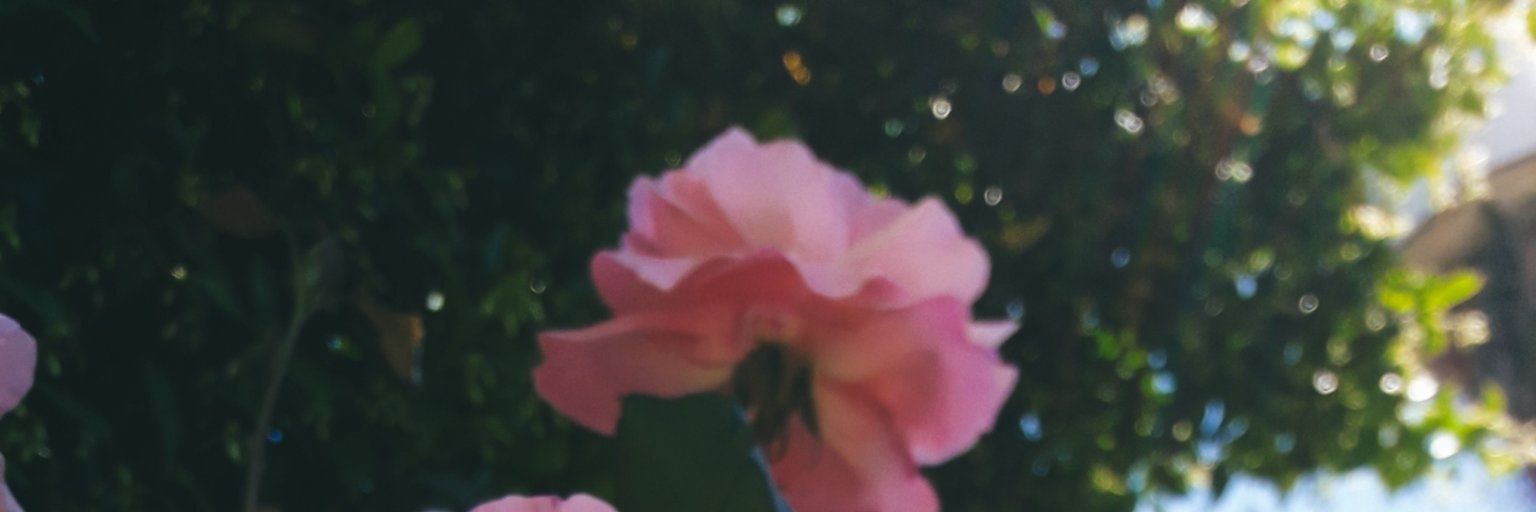 Emi's banner