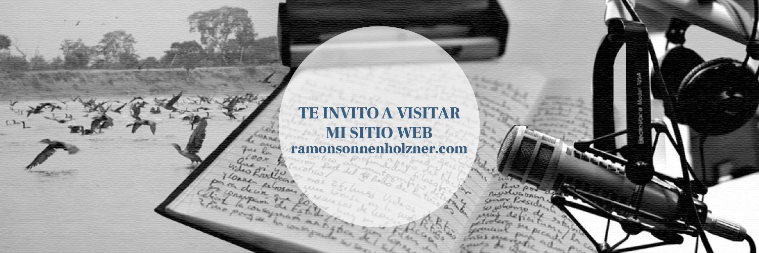 Ramón Sonnenholzner's banner