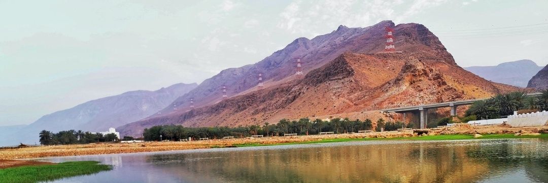سيف الهادي's banner