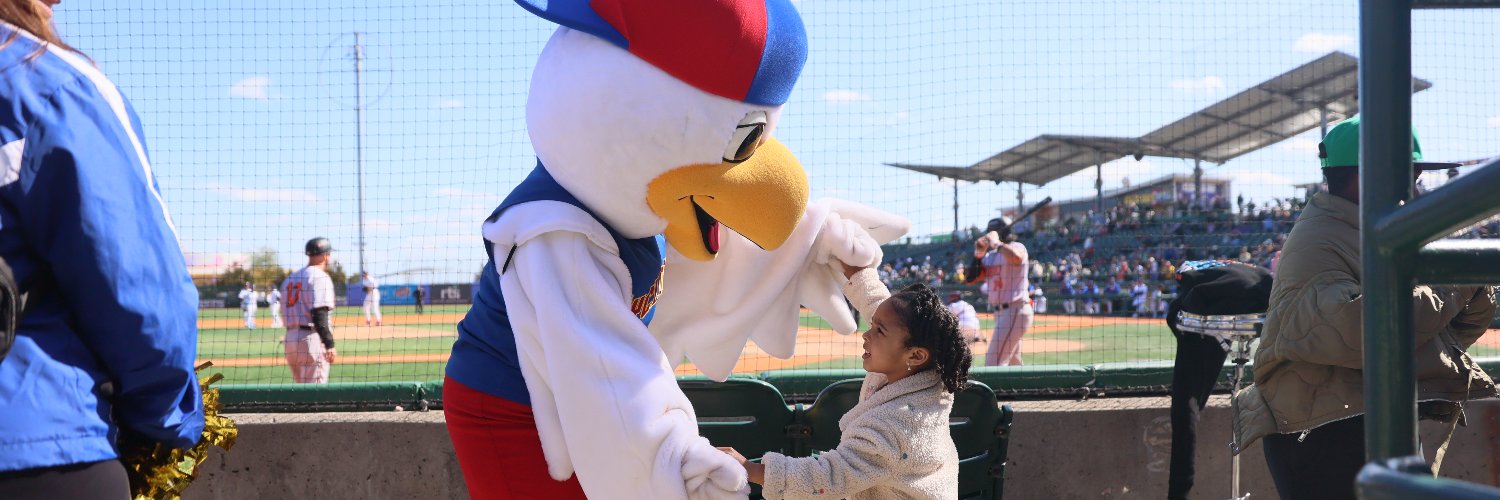 Brooklyn Cyclones's banner
