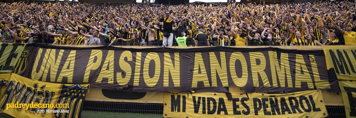𝙇𝙪𝙞𝙨 𝙋𝙧𝙞𝙚𝙩𝙤 ✌️'s banner