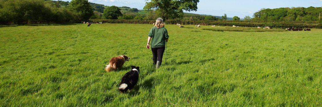 🐑 Farmer Dixon 🐐🐮🐓🐏🌿's banner