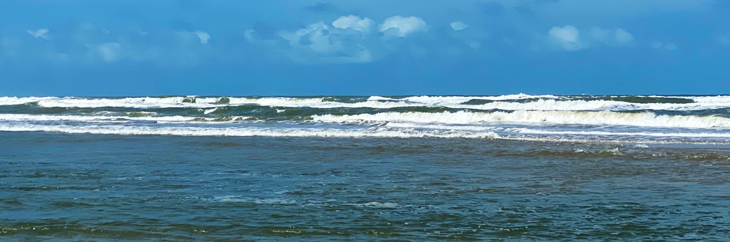 Flávio Dino 🇧🇷's banner