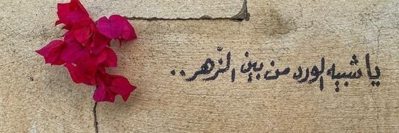 ابو فيصل's banner