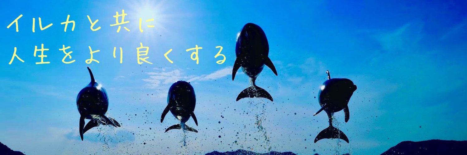 日本ドルフィンセンター's banner