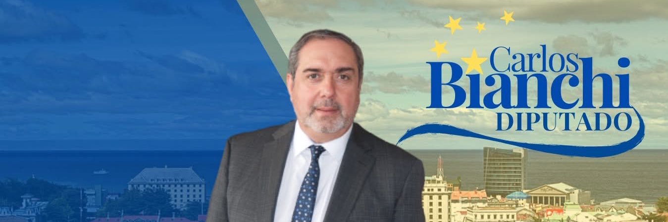 Diputado Carlos Bianchi Chelech's banner