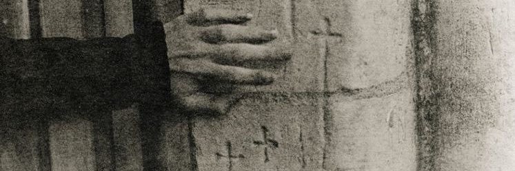 eleni's banner