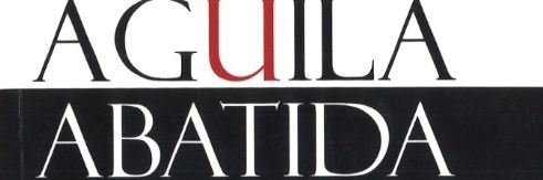 Manolo Álvarez Cedeñ's banner